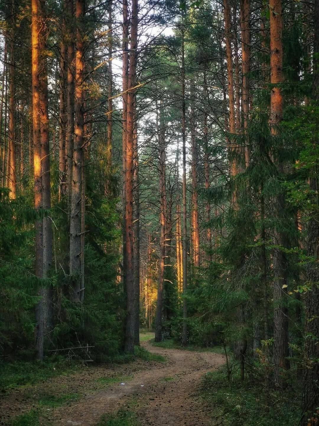 Рецензія на роман Макса Кідрука «Не озирайся і мовчи»