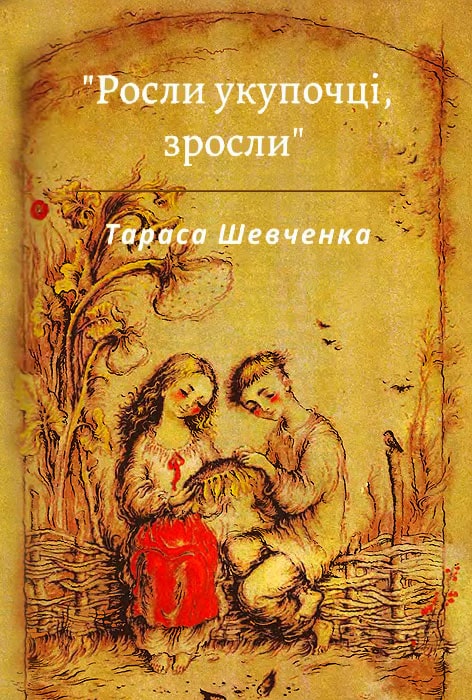 Росли укупочці, зросли...