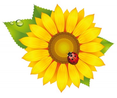 Квітка сонця, В. Сухомлинський