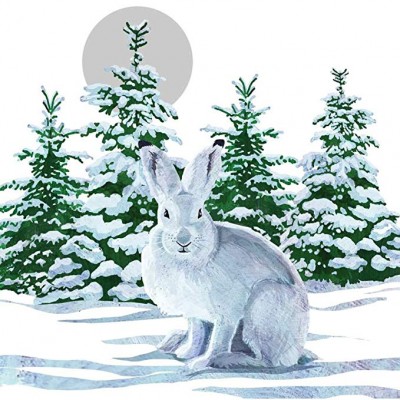 Зайчик і Місяць, Василь Сухомлинський