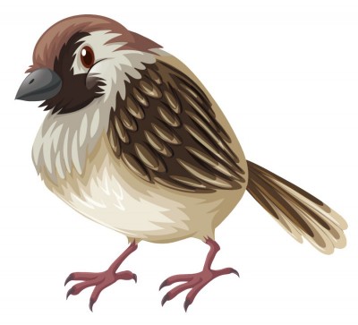 Оленчин горобчик, Василь Сухомлинський