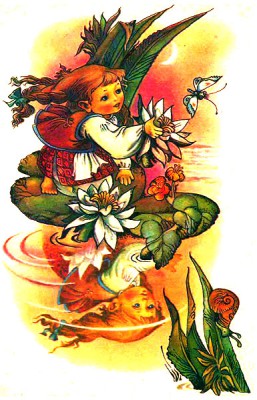 Де ночує водяна лілея, Василь Сухомлинський