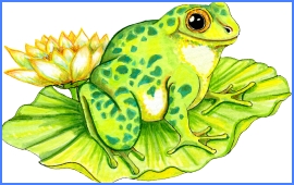 Жабеня та гадючка, грецька казка