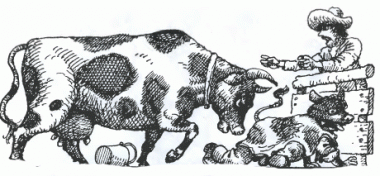 Підставне теля, кубинська казка