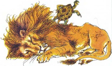 Кошіль черепахи, африканська казка