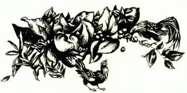 Сліпа курка, болгарська казка