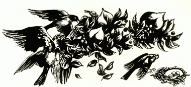 Зозуля і риба, болгарська казка