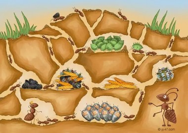 Гостинні мурашки, болгарська казка