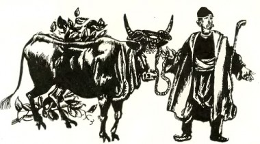 Ліве око царя, болгарська казка