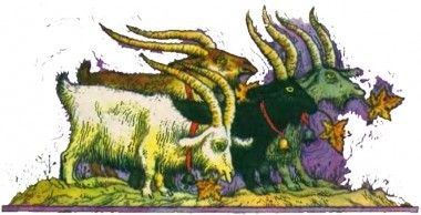 Коза Дорота, білоруська казка