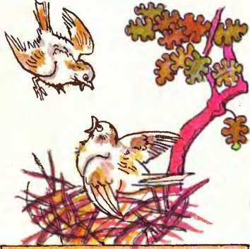 Акбаш та Бозбаш, киргизька казка