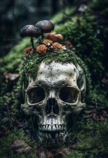 Живой, не живой, Alexandra Soroka