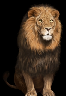 Звір , Олекса Шевкун