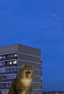 Що б ви хотіли бачити написаним від мене, Ара Сіяр