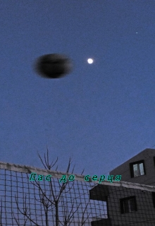 Пас до серця, Sallattik