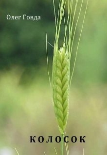 Колосок, Олег Говда