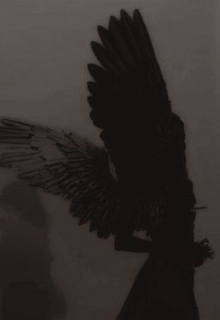 Нічні тварі , НМ